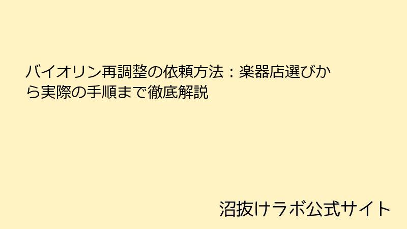 バイオリン再調整の依頼方法:楽器店選びから実際の手順まで徹底解説