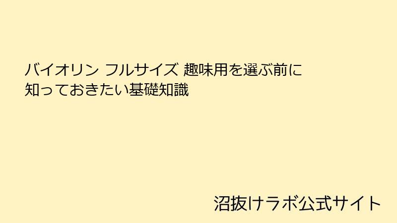 バイオリン フルサイズ 趣味用を選ぶ前に知っておきたい基礎知識