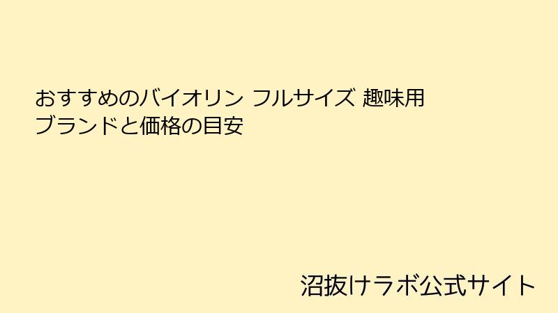 おすすめのバイオリン フルサイズ 趣味用ブランドと価格の目安