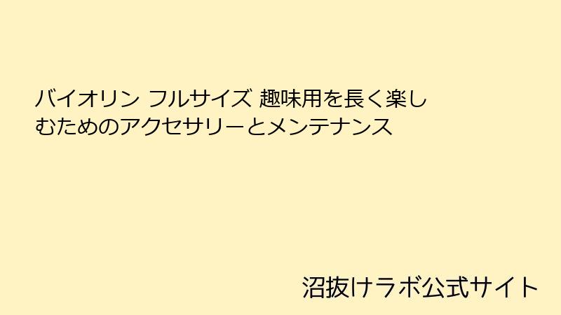 バイオリン フルサイズ 趣味用を長く楽しむためのアクセサリーとメンテナンス