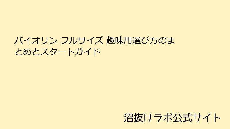 バイオリン フルサイズ 趣味用選び方のまとめとスタートガイド