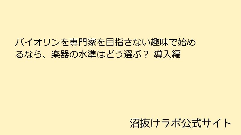 バイオリンを専門家を目指さない趣味で始めるなら、楽器の水準はどう選ぶ？ 導入編