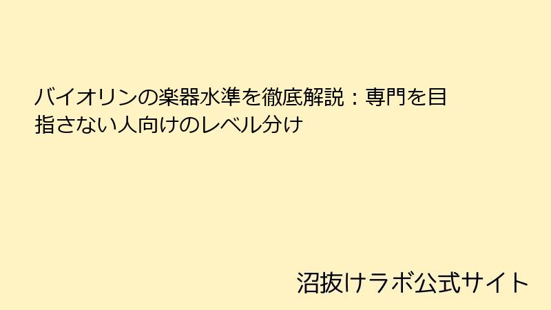 バイオリンの楽器水準を徹底解説：専門を目指さない人向けのレベル分け