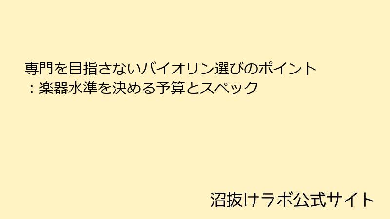 専門を目指さないバイオリン選びのポイント：楽器水準を決める予算とスペック