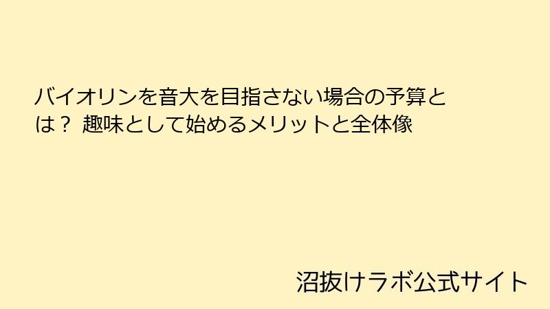 バイオリンを音大を目指さない場合の予算とは？ 趣味として始めるメリットと全体像