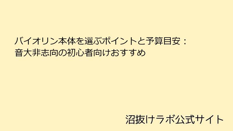 バイオリン本体を選ぶポイントと予算目安：音大非志向の初心者向けおすすめ