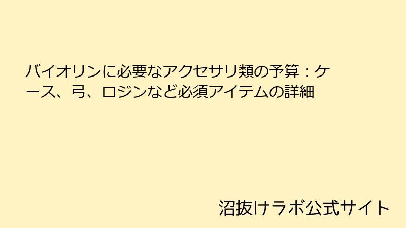 バイオリンに必要なアクセサリ類の予算：ケース、弓、ロジンなど必須アイテムの詳細
