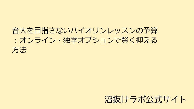 音大を目指さないバイオリンレッスンの予算：オンライン・独学オプションで賢く抑える方法