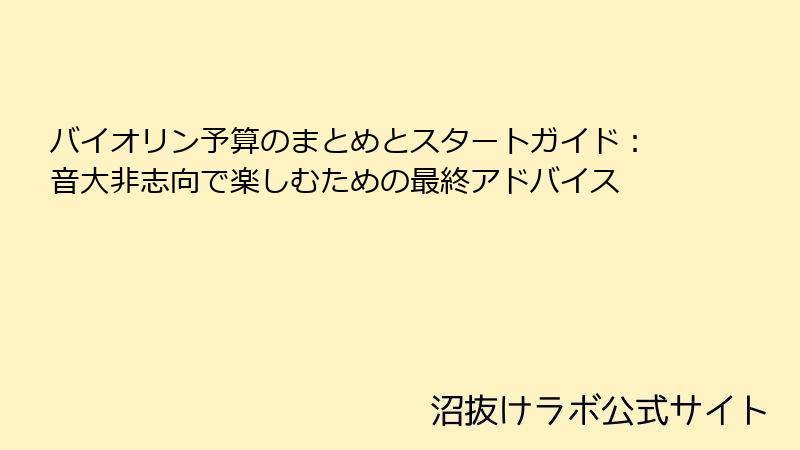 バイオリン予算のまとめとスタートガイド：音大非志向で楽しむための最終アドバイス