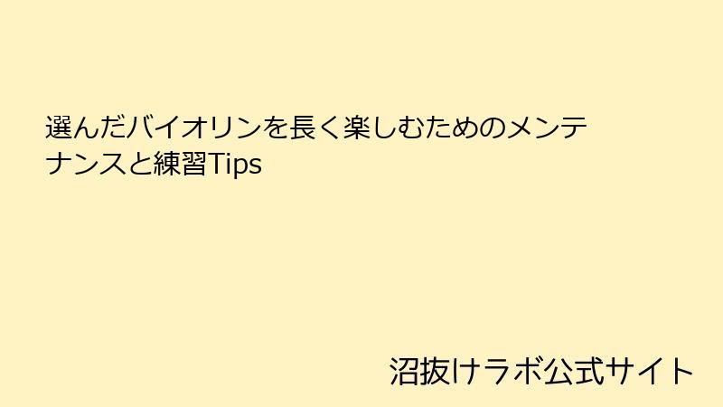 選んだバイオリンを長く楽しむためのメンテナンスと練習Tips