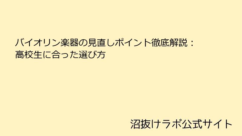 バイオリン楽器の見直しポイント徹底解説：高校生に合った選び方