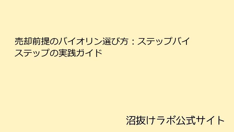 売却前提のバイオリン選び方：ステップバイステップの実践ガイド