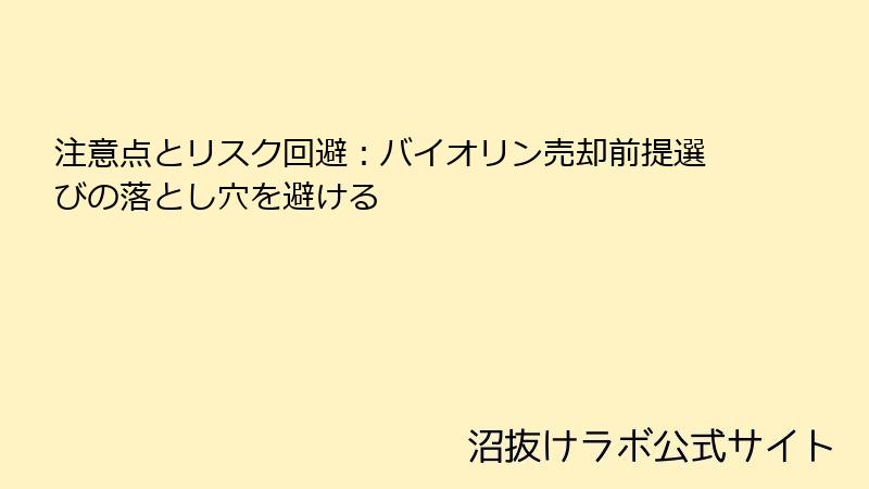 注意点とリスク回避：バイオリン売却前提選びの落とし穴を避ける