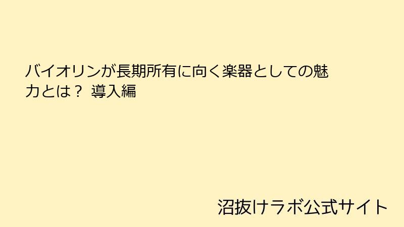 バイオリンが長期所有に向く楽器としての魅力とは？ 導入編
