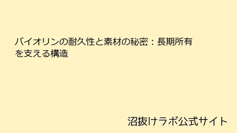 バイオリンの耐久性と素材の秘密：長期所有を支える構造
