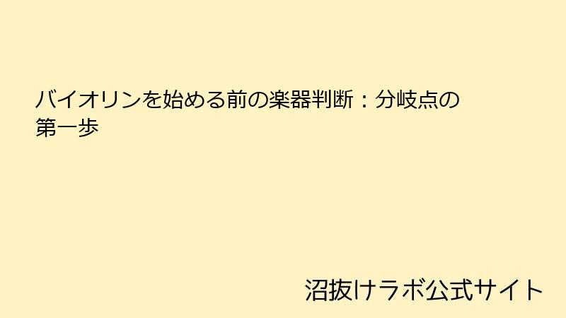 バイオリンを始める前の楽器判断：分岐点の第一歩