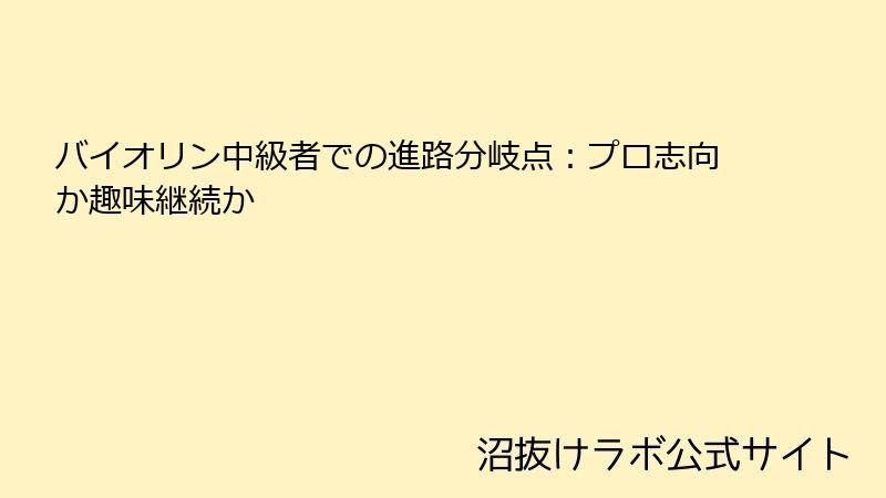 バイオリン中級者での進路分岐点：プロ志向か趣味継続か